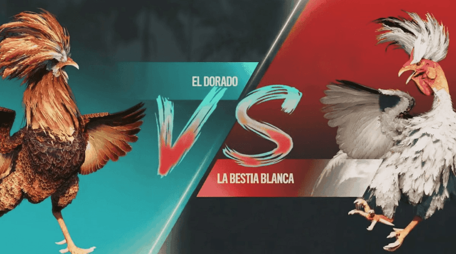 bra365 Brasil Jogos de slots